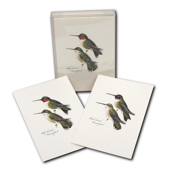 Earth Sky + Water - Peterson’s Hummingbird Notecard Set - 8 Blank Cards with Envelopes (4 Each of 2 Styles)