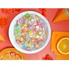 Fruit Slices Candy - Hard Candy Bulk 1 lb Bag