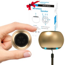 SEVENKA 2 Bluetooth Mini Speakers, 3W Small Portable Wireless Speaker with Lanyard, Water Resistant, Wireless Stereo Pairing, Rechargeable Metal Tiny Speaker for Phone, Tablet, Built-in Microphone