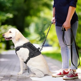 Ynipozl Dog Vest Harness-No Pull Adjustable Reflective,Escape-Proof Padded Design for Large/Medium Dogs,Service Dog & Outdoor, Hiking/Car Travel(Black S)