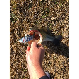 4" Spring Shad Multi Jointed Swimbait Bass Fishing Lure Bait Hard Slow Fast Sinking Life Like Big Gizzard Shad Minnow Bluegill Dark Sleeper Hooks (4" Spring Shad - Clear Lake Hitch)