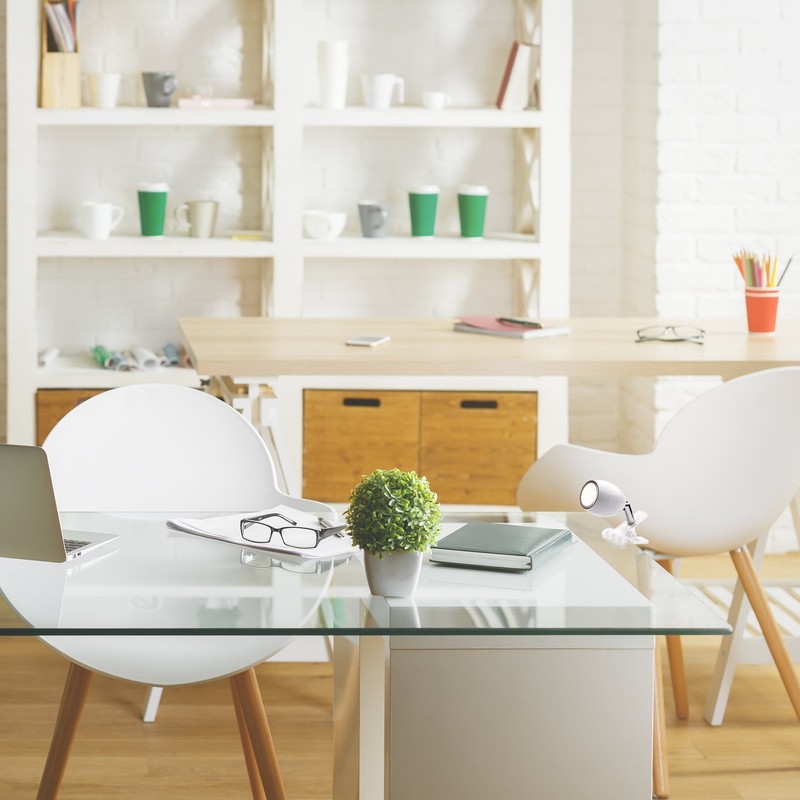 Newhouse Lighting NHCLP-JO-WH Joe LED Clip On Lamp & Reading