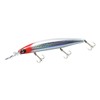 DAIWA Shoreline Shiner Z Set Upper 145S-DR Laser Red Head