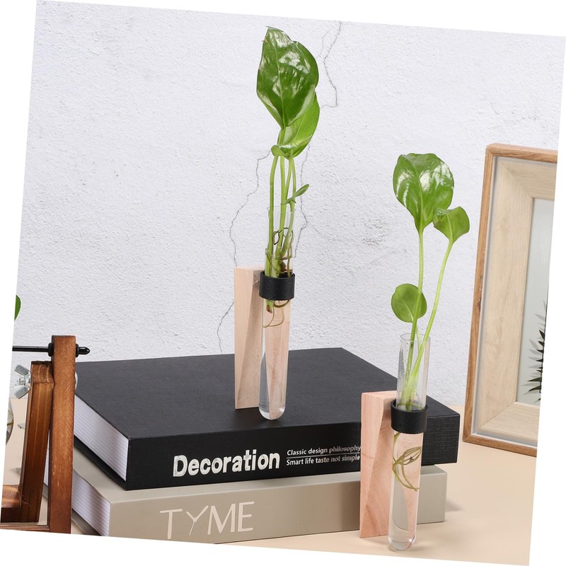 Ciieeo 2Sets Hanging Plant Propagation Containers Hydroponics Test Tubes for