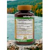 Plantimex Wereke Capsules Wereque 150 Capsulas Support Healthy Glucose By