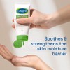 Cetaphil Daily Defence Cream SPF 50, Daily Facial Moisturiser with