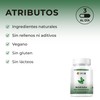 Bio B | Moringa 2 Pack 60 cápsulas veganas cada
