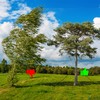 Tree Stake Kit – Heavy Duty Tree Stakes and Supports