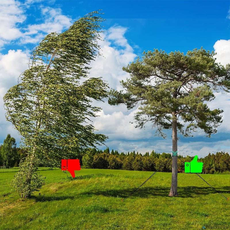 Tree Stake Kit – Heavy Duty Tree Stakes and Supports