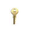 Notifier Fire Systems 17021 Alarm Lock Replacement Key 17021