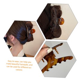 Beavorty 2pcs Elegant Acetate Hair Clip for Women Non- Hair Accessory for Parties and Daily Wear Stylish