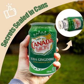Soda Pop Can Diversion Safe, Hidden Safe Stash with Realistic Design for Secure Storage, Secret Hidden Storage for Cash, Jewelry, Keys & Small Valuables – Perfect for Home, Office, and Car - Canada
