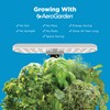 AeroGarden Harvest Lite in Cream, Soil-Free Indoor Hydroponic Garden with