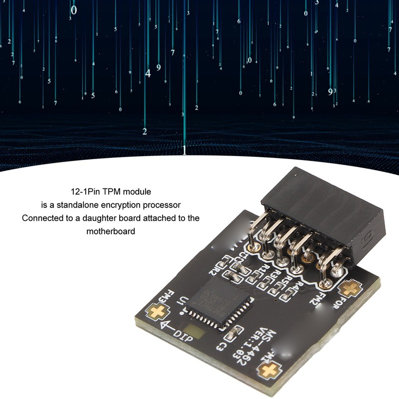 TPM2.0 Module TPM SPI 12Pin Module with SLB 9670 Standalone
