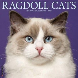 Ragdoll Cats 2026 12" x 12" Wall Calendar