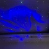 Mini RGB Dynamic Aurora LED Green Laser Star Starry Sky