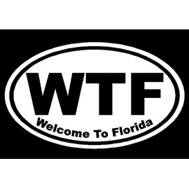 Dan's Decals Welcome to Florida Decal, WTF Sticker, Funny Floriduh Bumper Stickers, Please Message Us for More Size, Color, and Designs (H 3.5 by L 6 Inches, White)