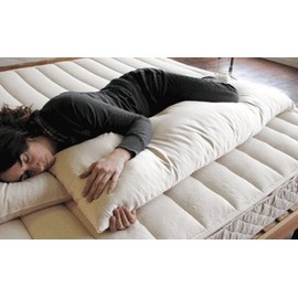 Holy Lamb Organics "Full Body" Pillow - Case