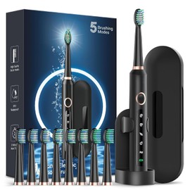 Rtauys Electric Toothbrush for Adults, 8 Brush Heads & Travel Case,5 Modes with 2 Minutes Built in Smart Timer, One Charge for 60 Days, 41000 VPM Motor (Black)