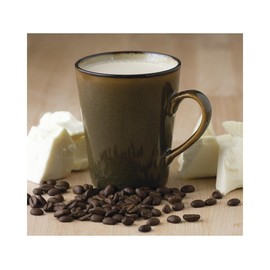 YANKEETRADERS White Chocolate Cappuccino Mix, Premium Coffee Beverage, 16 Oz Bag