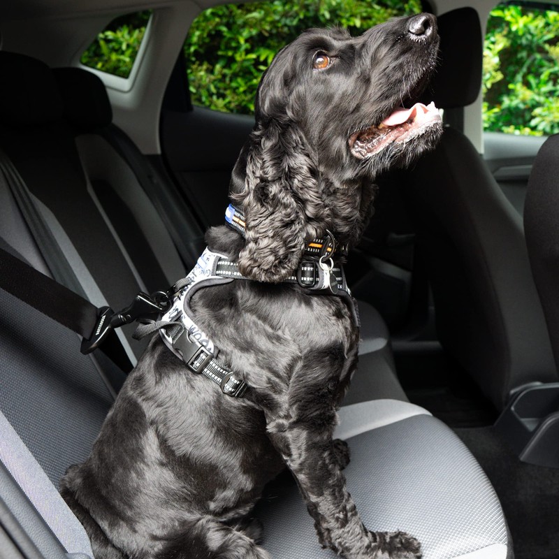 Battersea Seat Belt Clip