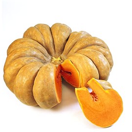 Musquee De Provence Fairytale Cinderella French Heirloom Pumpkin Premium Seed Packet