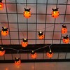 FAc3may 1pcs LED Ladybug String Light, 4.92ft/1.5m Battery Powered Red