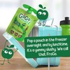 GoGo squeeZ Fruit on the Go, Apple Cinnamon, 3.2 oz.