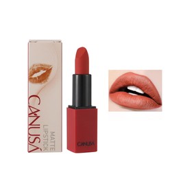 CANUSA Infallible Matte Lipstick, Infallible Matte Resistance, Long Lasting up to 8 hours, High Coverage, High Impact Lipcolour with Moisturising Creamy Formula (EVERYDAY MOOD 05, One Size)