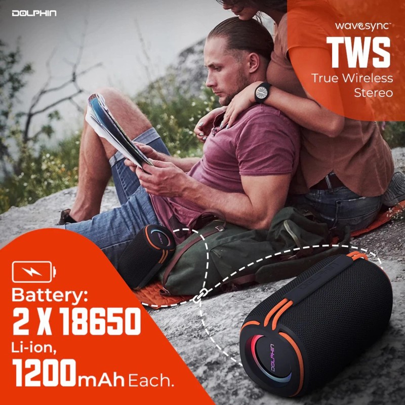 Dolphin® Audio DR30 Diver Sport™ 15-Watt-Contin
