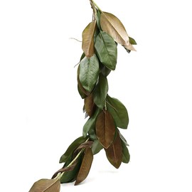 Serene Spaces Living 50in Long Artificial Magnolia Leaf Garland, Ideal to Hang at Wedding, Store Display, Window Sill, Fall Decor, Perfect Holiday Décor