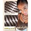 Brown Lash Clusters Pre-Mapped Eyelash Clusters Cat Eye Cluster Eyelash