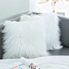 Kaseremy Cushion Cover Set of 2 Long Fur, Faux Fur,