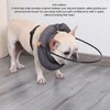 Blind Dog Collar Lightweight Adjustable Protective Ring Anti Collision Blind
