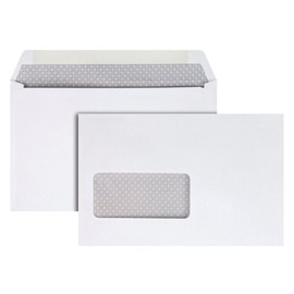 Quality Park Envelopes, 5-3/4 x 9 Inch Window Booklet, Security Tinted, 24 lb White Wove, Gummed Flap, 25 Pack - Ideal for Tax Season, T4 Slips, Mailing, and Organizing