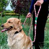 Handmade 5ft Braided Cotton Dog Leash with Unique Floral Handle,