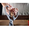 Perkin Kitchen Scissor Heavy Duty Multipurpose