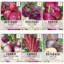 Seed Needs, Edible Roots & Bulbs Variety Pack (3,650 Seeds Collectively) Seed Collection Contains Rutabaga, Turnips, Beets, Carrots, Radish & Kohlrabi