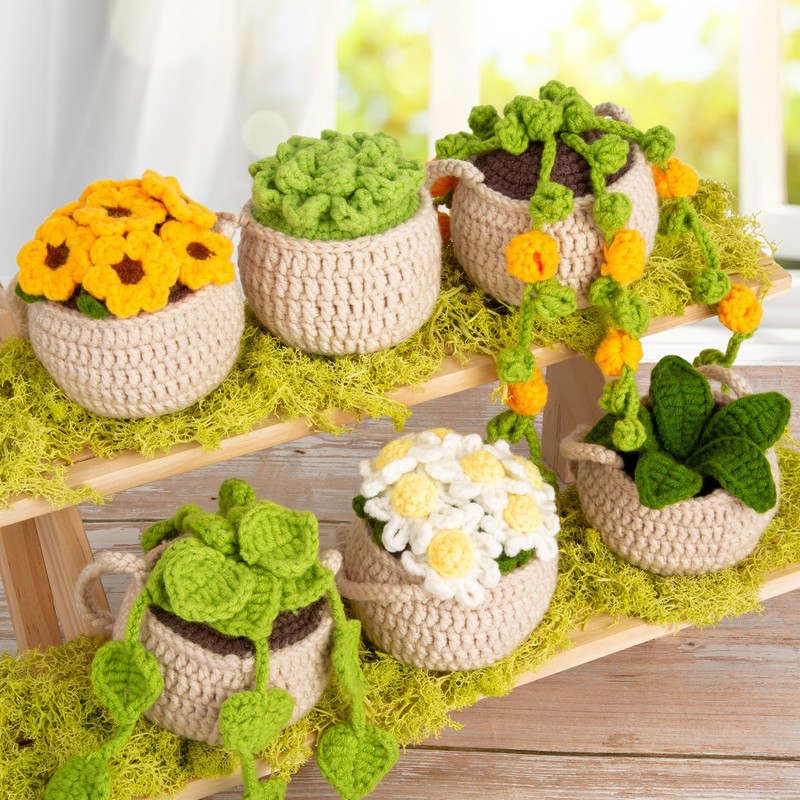 Karsspor Beginner Crochet Kit - 6 PCS Hanging Potted Plants