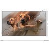 Pets-easy Rectangular Sticker Dog 36 cm Rhodesian Ridgeback