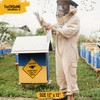 Caution Honeybees Hard At Work 12" x 12" Tin Road
