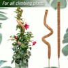 2 Pack Moss Pole, 28 Inch Bendable Moss Pole for