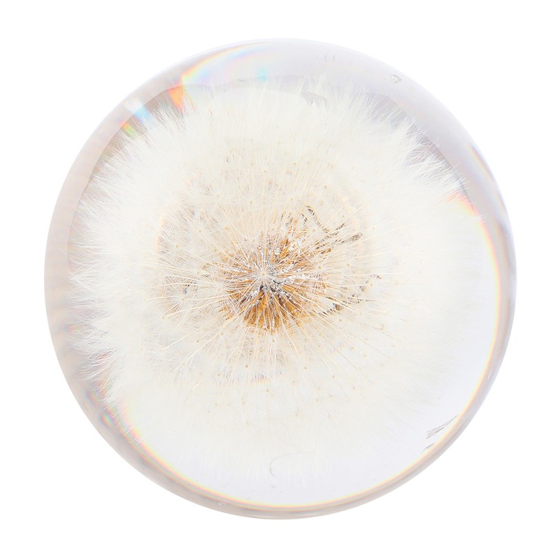 2.8in Shift Knob Crystal Real Dandelions Flowers Universal Accessory with