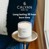Calyan Wax Co. 3 Wick Candle, Rosewood + Amber Scented