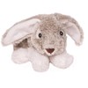 Inware rabbit lying and sitting