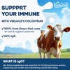 Veenuule Colostrum Powder Supplement, New Formula with 60% Natural IgG