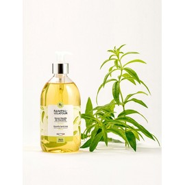 Sabong Liquid Verbena 500ML (Liquid Soap) / 사봉리퀴드 버베나 500ML(액체비누)