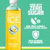 Sparkling Ice, Coconut Pineapple Sparkling Water, Zero Sugar Flavored Water,