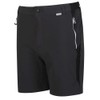 Regatta Mens Mountain II Shorts Ash/Black