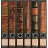 Set of 6 Folder Spines for Narrow Folders Books 1-6